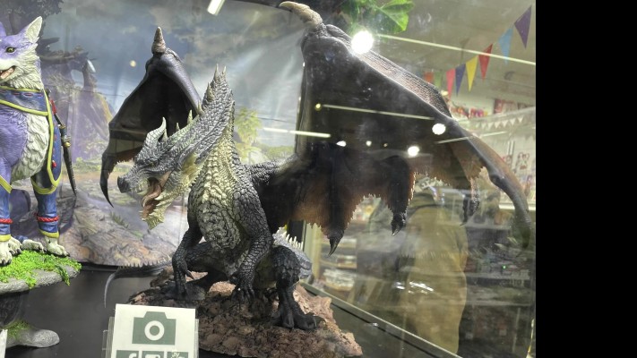 CFBCM   怪物猎人系列 黑龙