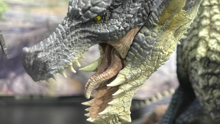 CFBCM   怪物猎人系列 黑龙