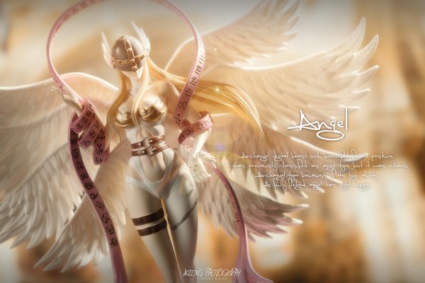 超进化魂#4  数码暴龙大冒险 天女兽&迪路兽