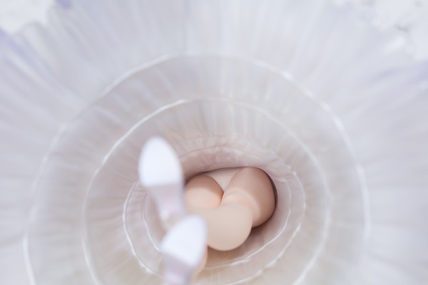 碧蓝航线 贝尔法斯特 克拉达的誓约ver.