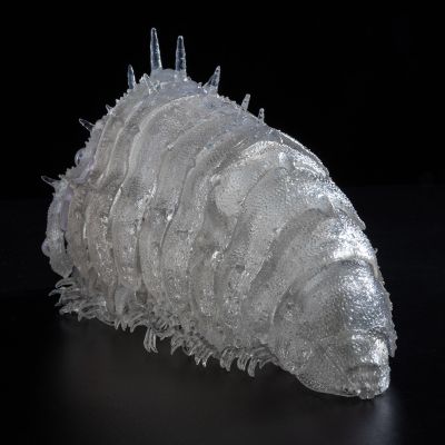 竹谷式自在置物 风之谷 王虫 透明版