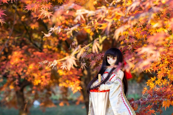 Dollfie Dream DD 机巧少女不会受伤 夜夜