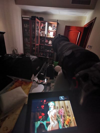 【咸蛙激情拍摄】韶华长焦小试