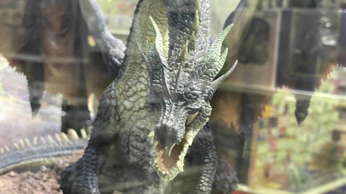 CFBCM   怪物猎人系列 黑龙