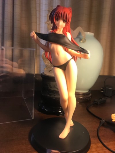 ToHeart2 向坂環 -バケーションver.- (通常版黑)