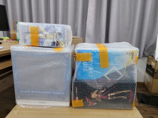 良笑&Type-Moon赛车系列  命运/异章 剑士 / 尼禄 赛车女郎 Ver.