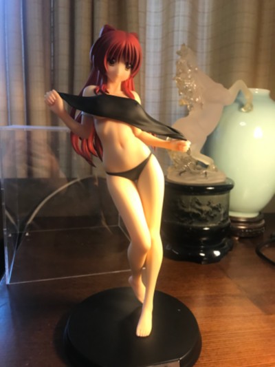 ToHeart2 向坂環 -バケーションver.- (通常版黑)