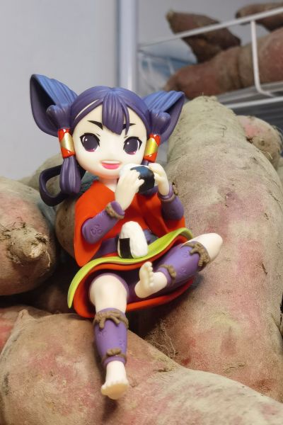 天穗之咲稻姬 小坐系列奖品人偶 “佐久名公主”
