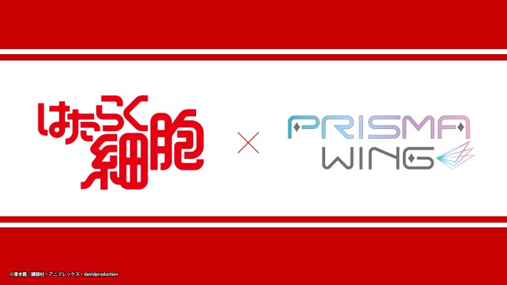 PRISMA WING 工作细胞 红细胞 与 血小板