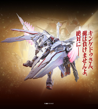 METAL BUILD  机动战士海盗高达 海盗高达X0 全武装型