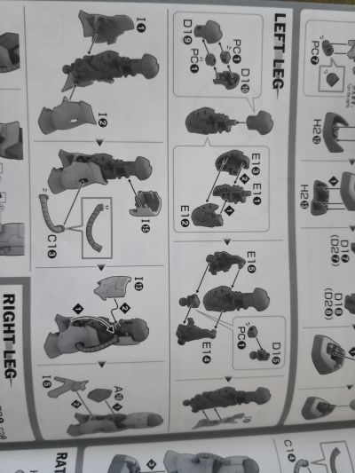 HG  机动战士高达 起源 MSD  沙漠型扎古 (双天线规格)