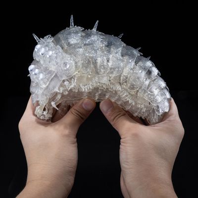 竹谷式自在置物 风之谷 王虫 透明版