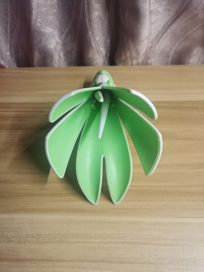 宝可梦拼装模型收藏 49 特选系列 沙奈朵