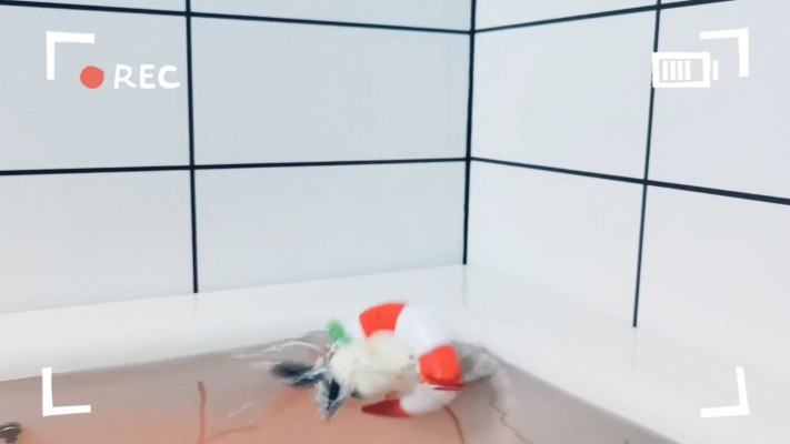 舰队Collection -舰娘- 洗澡Collection 岛风