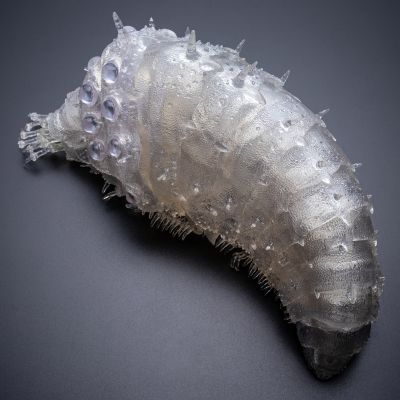 竹谷式自在置物 风之谷 王虫 透明版