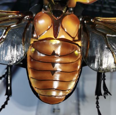 REVOGEO 长颈鹿锯锹