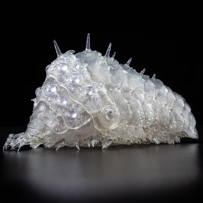 竹谷式自在置物 风之谷 王虫 透明版