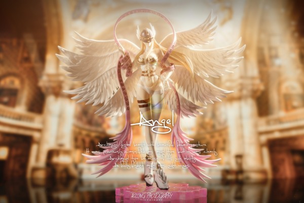 GEM系列 数码宝贝 天女兽＆八神嘉儿