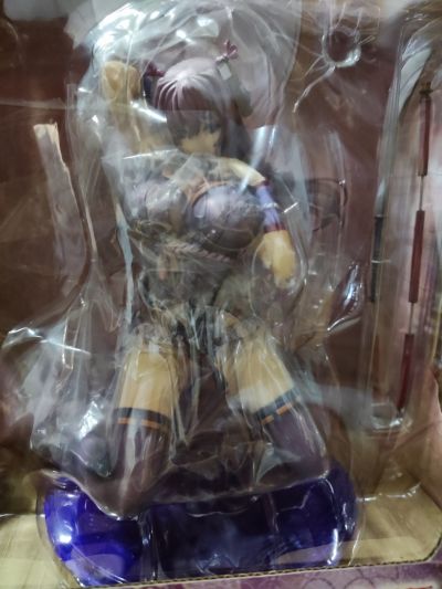 百花缭乱 德川之美姬 千姬