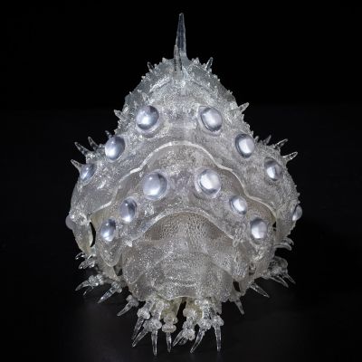 竹谷式自在置物 风之谷 王虫 透明版