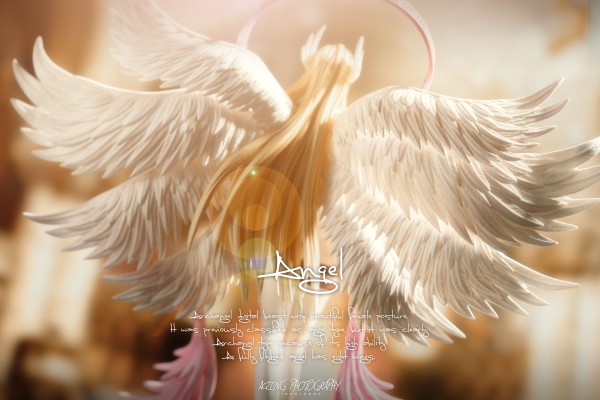 GEM系列 数码宝贝 天女兽＆八神嘉儿