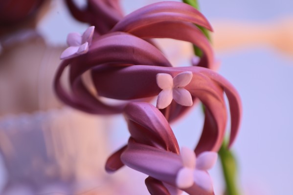 偶像大师 闪耀色彩 大崎甘奈 Devoting Rinne Ver.