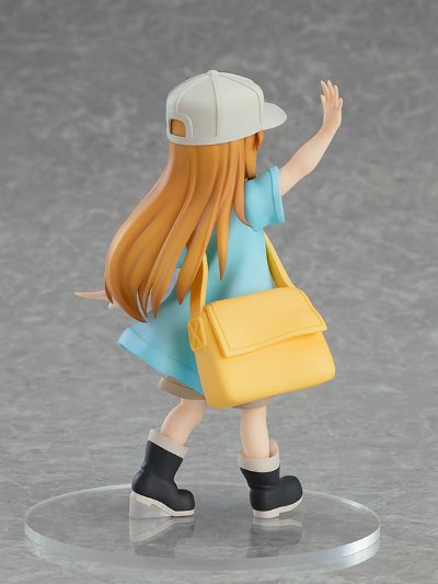 POP UP PARADE 工作细胞 血小板