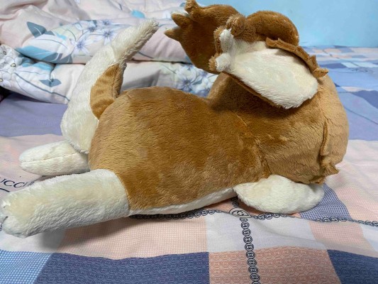 BIG超大毛绒玩偶  摇曳露营△ 第二季  竹轮