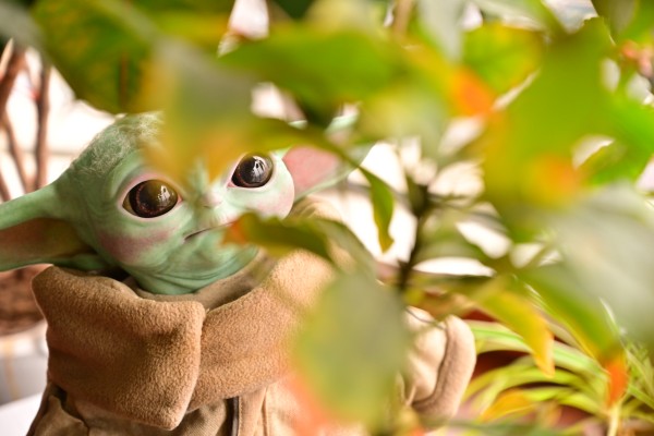 400369 《曼达洛人》- 尤达宝宝 1/1