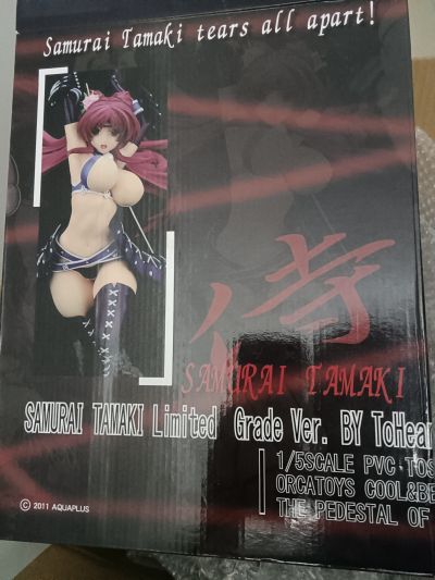 向坂环 Limited grade