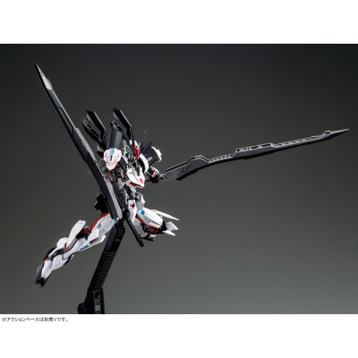 HG 机动战士高达SEED ASTRAY 天空的皇女 王道异端高达Ω