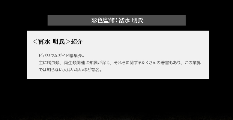 终极生物大图鉴系列  红眼鹰蜥 与 黑眼鹰蜥