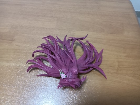 向坂环 Limited grade