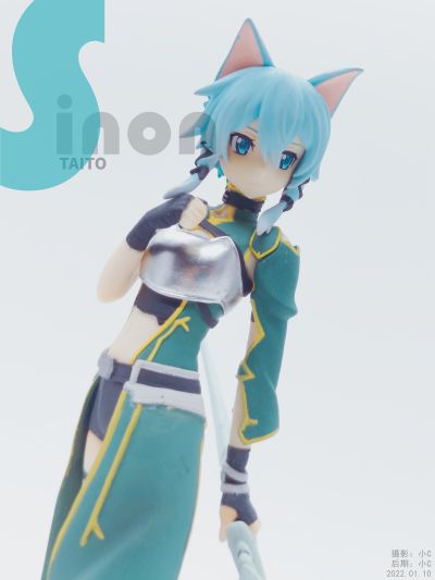 刀剑神域 第二季 诗乃 猫耳