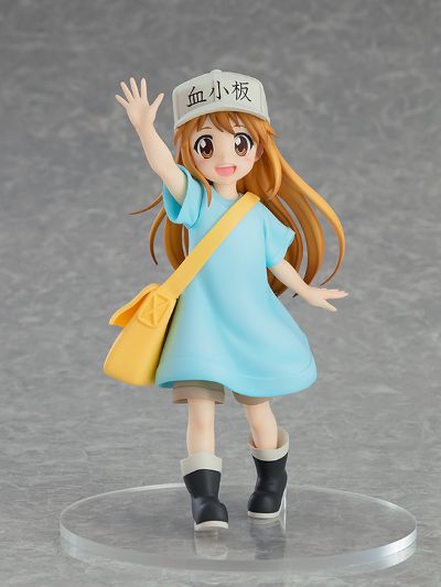 POP UP PARADE 工作细胞 血小板