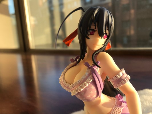 恶魔高中D×D HERO 姬岛朱乃 内衣