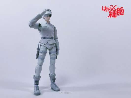 figma#489 工作细胞 白细胞（中性粒细胞）U-1146