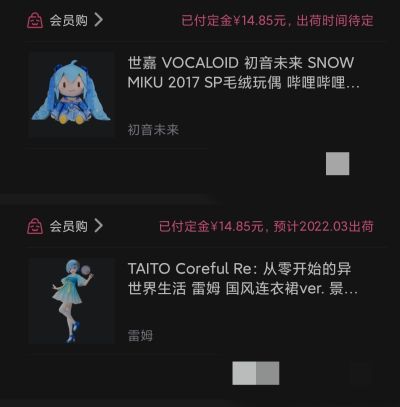 Precious Figure  Re：从零开始的异世界生活 蕾姆 Jumper 泳装Ver.