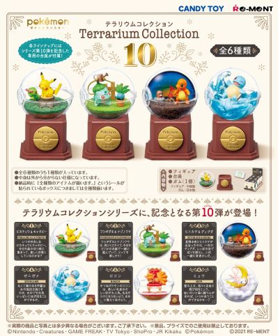 宝可梦 生态瓶 10
