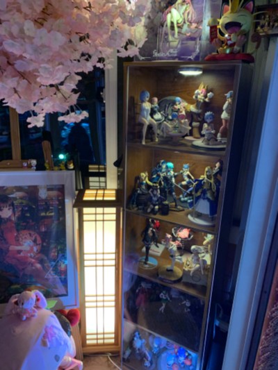 【再见！2021】——全年总结分享！  by叶婷峰少