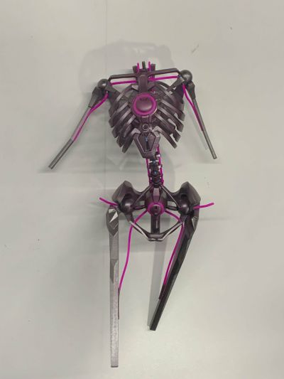 《太阳风计划》白夏