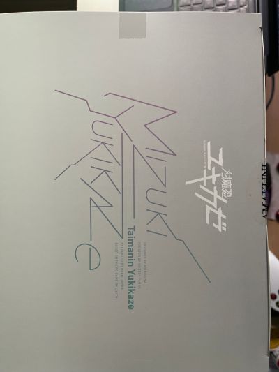 对魔忍雪风 水城雪风