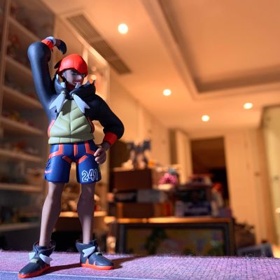 宝可梦比例世界 伽勒尔地区  冠军丹帝+多龙巴鲁托