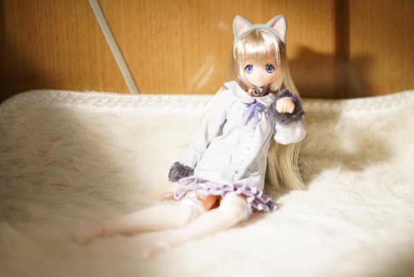 Sarah's a la Mode meow x meow a la mode 俄罗斯蓝猫 / 艾丽莎