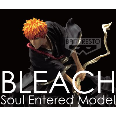 Soul Entered Model BLEACH 境·界 黑崎一护 2