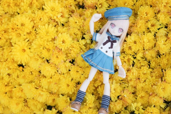 Picconeemo ~ Youseitachi no Kyuujitsu ~ 