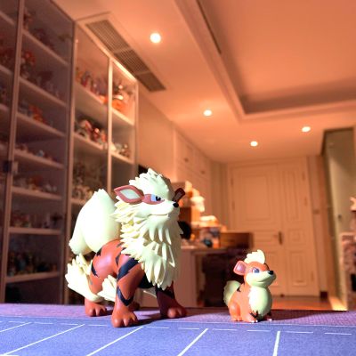 宝可梦比例世界 关都地区 青绿与风速狗