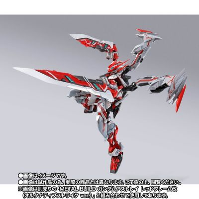METAL BUILD 机动战士高达SEED ASTRAY R 异端高达 红龙头 配件套装