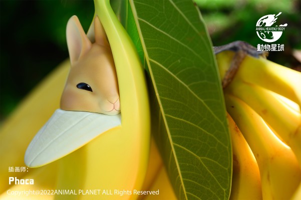 兔兔精灵系列 香蕉兔