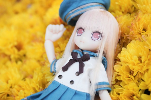 Picconeemo ~ Youseitachi no Kyuujitsu ~ 